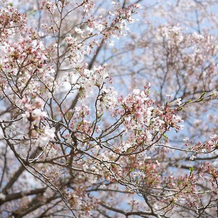 Hotel Shiki No Mori Minamiaso Zewnętrze zdjęcie